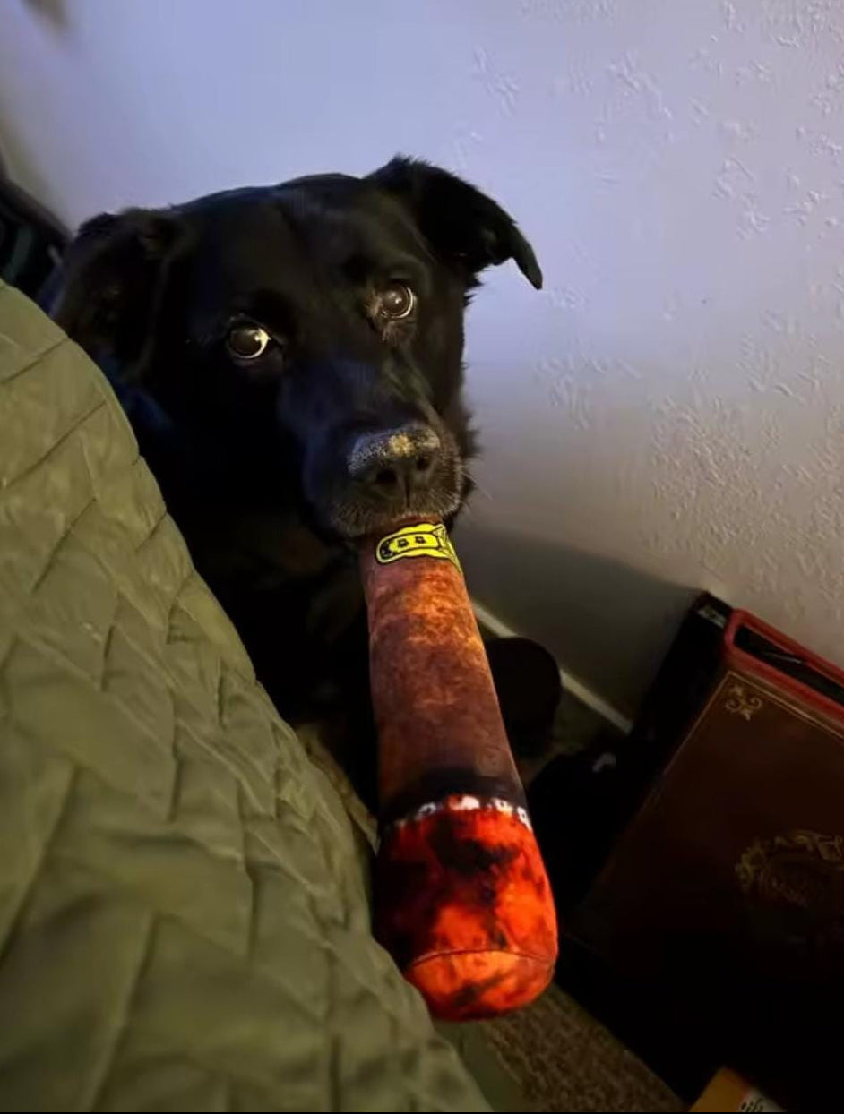 Interactive Dog Cigar