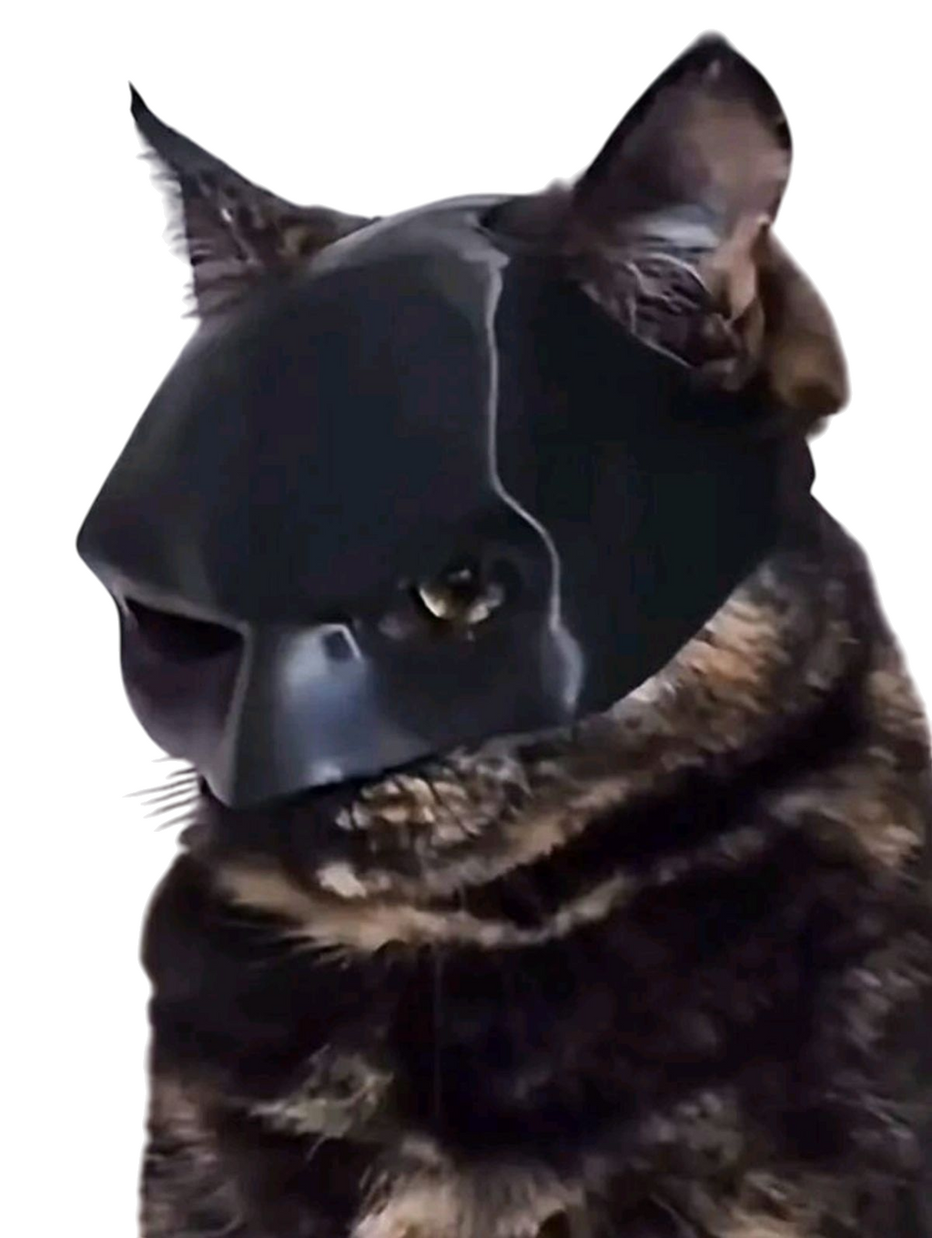 Mascara para Mascotas